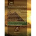 Die muslimische Eroberung von Ägypten und Nordafrika