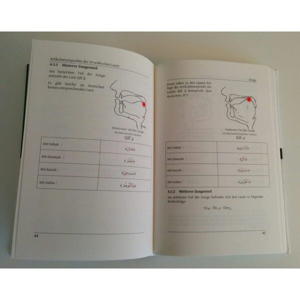 Tadschwidwissenschaft